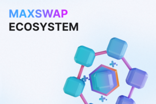 Екосистема MaxSwap: ваш універсальний інструмент для роботи з криптовалютами!